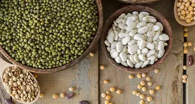 Cultures mineures, intérêt majeur pour la biodiversité Cultures mineures, intérêt majeur pour la biodiversité